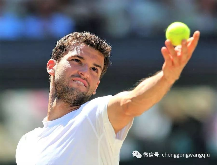 裁判组经过 裁判组经过