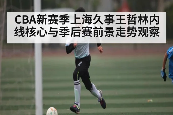 CBA新赛季上海久事王哲林内线核心与季后赛前景走势观察 - aiyouxi